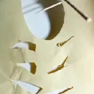 Animace