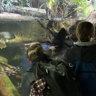 Projektový den – Poznej Prahu (ZOO Praha Troja)
