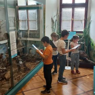muzeum