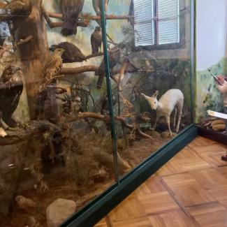 muzeum