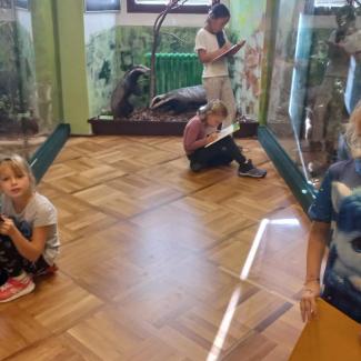 muzeum