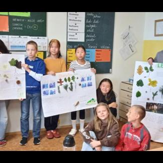 projekt