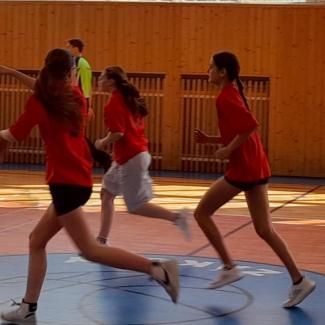 basket