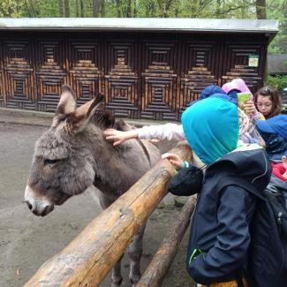 zoo děčín