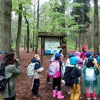 zoo děčín