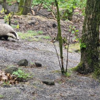 zoo děčín