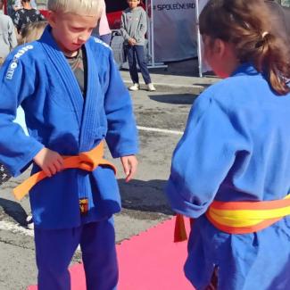 Českolipský sportovní festival