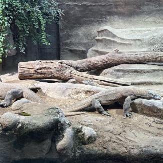 Projektový den – „Poznej Prahu“ – ZOO