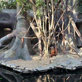 Projektový den – „Poznej Prahu“ – ZOO