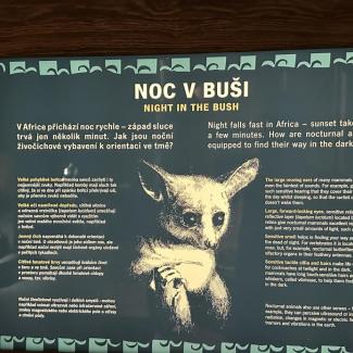 Projektový den – „Poznej Prahu“ – ZOO