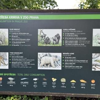 Projektový den – „Poznej Prahu“ – ZOO