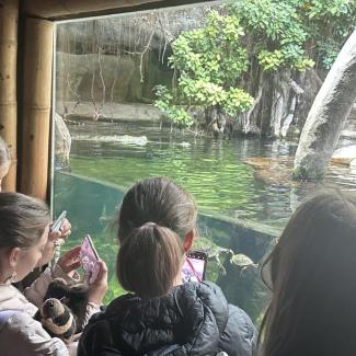 Projektový den – „Poznej Prahu“ – ZOO