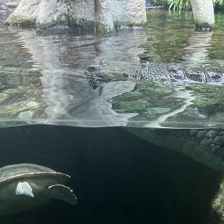 Projektový den – „Poznej Prahu“ – ZOO