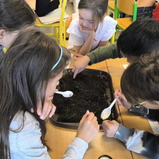 Žáci 4.A objevovali tajemství půdy