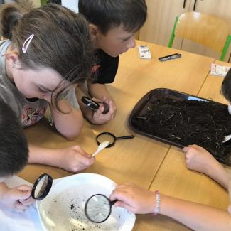 Žáci 4.A objevovali tajemství půdy