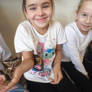 Motýl Martináč pajasanový ve 3. A