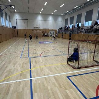 Florbalový turnaj v Žandově 