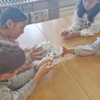Projektové vyučování ve 3. třídách