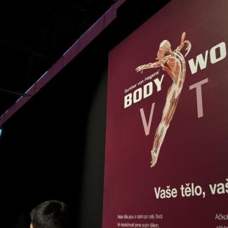 body