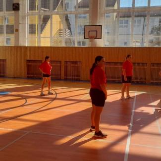 basket