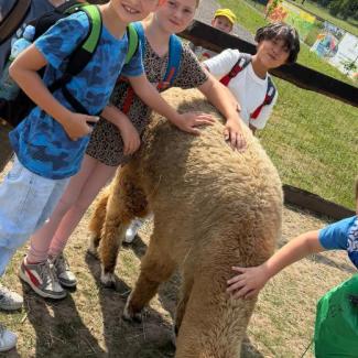 Výlet 2. tříd do Zooparku Zelčín