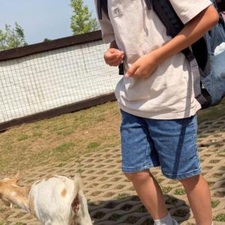 Výlet 2. tříd do Zooparku Zelčín