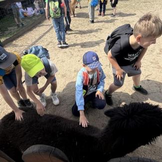 Výlet 2. tříd do Zooparku Zelčín