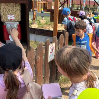 Výlet 2. tříd do Zooparku Zelčín
