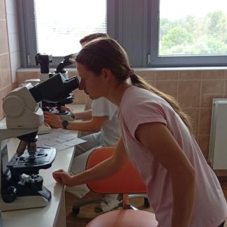 hematologie