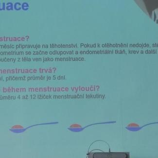 menstruace