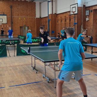 ping pong