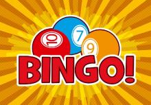 ŠD - bingo