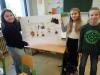 projekt-den