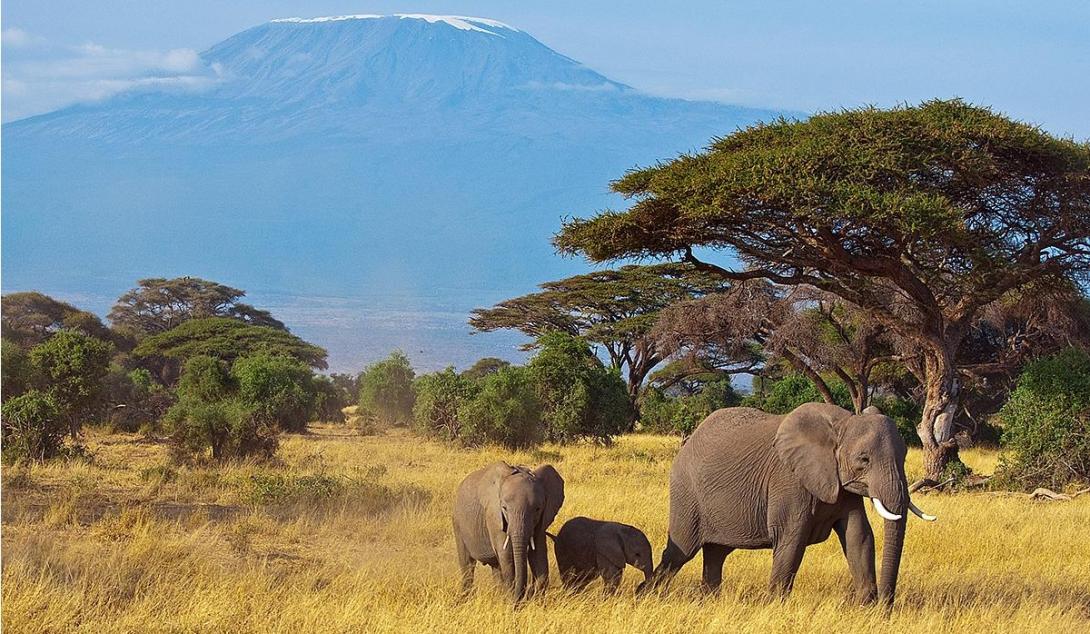 Tanzanie – divoké srdce Afriky