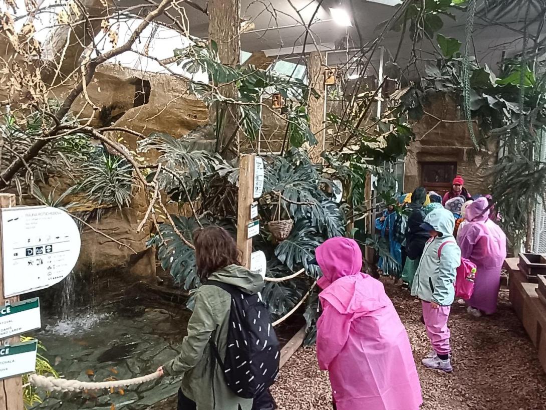 zoo děčín