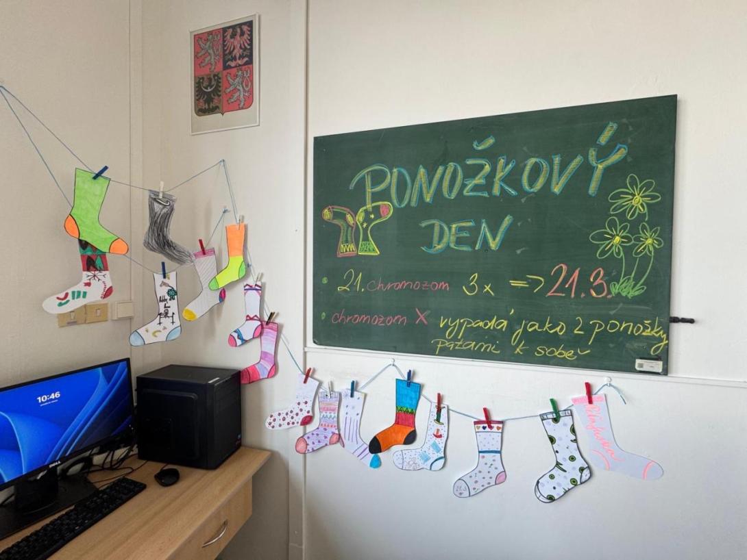 ponožky